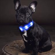 🌟 candofly light up dog collars: usb rechargeable led collar with double lights - water resistant pet accessories for night walking & camping logo