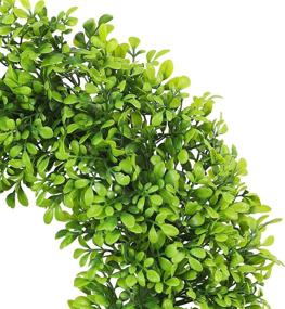 img 3 attached to 18-Inch Artificial Boxwood Front Door Wreath - Spring Summer Shamrock Green Faux Plants for Indoor Outdoor Window Wedding Holiday Décor