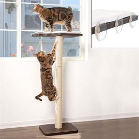 img 4 attached to 🐱 PetFusion Ultimate Cat Window Climbing Perch 45” Tall - Modern Design with Tree Sisal Scratching Posts - Easy to Assemble - Suctions Securely to Window - 1 Year Warranty for Manufacturer Defects