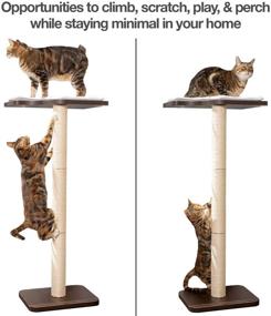 img 3 attached to 🐱 PetFusion Ultimate Cat Window Climbing Perch 45” Tall - Modern Design with Tree Sisal Scratching Posts - Easy to Assemble - Suctions Securely to Window - 1 Year Warranty for Manufacturer Defects