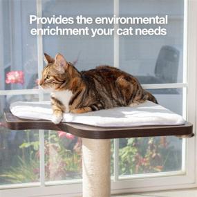 img 1 attached to 🐱 PetFusion Ultimate Cat Window Climbing Perch 45” Tall - Modern Design with Tree Sisal Scratching Posts - Easy to Assemble - Suctions Securely to Window - 1 Year Warranty for Manufacturer Defects