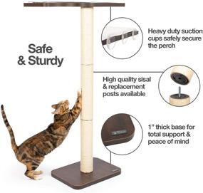 img 2 attached to 🐱 PetFusion Ultimate Cat Window Climbing Perch 45” Tall - Modern Design with Tree Sisal Scratching Posts - Easy to Assemble - Suctions Securely to Window - 1 Year Warranty for Manufacturer Defects