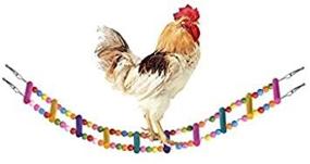 img 4 attached to 🐔 Fun and Flexible: BWOGUE Wooden Chicken Flexible Ladder & Swing - A Must-Have Pet Toy