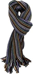 img 1 attached to 🧣 Plum Feathers Ribbed Chunky Multi Stripe Knit Scarf - Premium Quality, Enhanced SEO