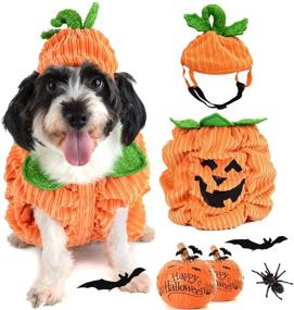 img 4 attached to 🎃 Legendog Halloween Dog Shirt - Pet Clothes, Cute Dog & Cat Pumpkin Costumes, Apparel for Dogs, Creative Pumpkin Shirts for Halloween