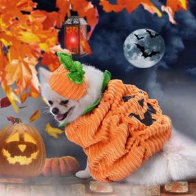 img 2 attached to 🎃 Legendog Halloween Dog Shirt - Pet Clothes, Cute Dog & Cat Pumpkin Costumes, Apparel for Dogs, Creative Pumpkin Shirts for Halloween