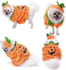 img 3 attached to 🎃 Legendog Halloween Dog Shirt - Pet Clothes, Cute Dog & Cat Pumpkin Costumes, Apparel for Dogs, Creative Pumpkin Shirts for Halloween