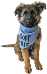 img 3 attached to Bundle of 4 Assorted Colors Midlee Adopt Me Dog Bandanas