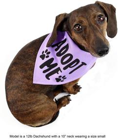 img 2 attached to Bundle of 4 Assorted Colors Midlee Adopt Me Dog Bandanas