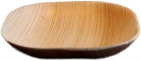 img 1 attached to Restaurantware 4-inch Eco-Friendly Indo Palm Leaf Square Plate – Ideal for Parties, Catering Events – Natural Color – Disposable Biodegradable Party Plates – 100 Count
