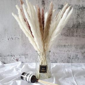 img 1 attached to 🌾 Pack of 30 Natural Dried Pampas Grass Stems (45cm) for Flower Arrangements and Home Decor