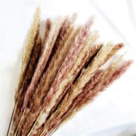 🌾 pack of 30 natural dried pampas grass stems (45cm) for flower arrangements and home decor logo