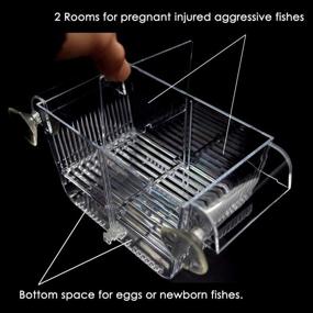 img 1 attached to 🐠 Qguai Fish Breeding Box: Ultimate Solution for Breeding, Acclimation, and Incubation of Aggressive Fish, Injured Fish, Shrimp, and Cichlids Eggs & Fry