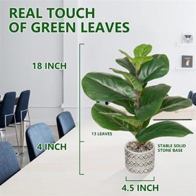 img 2 attached to SenseYo Artificial Fiddle Leaf Fig Tree: Lifelike 18 Inch Faux Ficus Lyrata with 13 Leaves - Perfect Indoor/Outdoor Decor for House, Home, and Office - Natural Fake Tree in Pot - Ideal Housewarming Gift