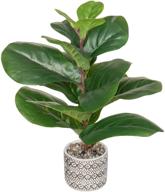 senseyo artificial fiddle leaf fig tree: lifelike 18 inch faux ficus lyrata with 13 leaves - perfect indoor/outdoor decor for house, home, and office - natural fake tree in pot - ideal housewarming gift логотип