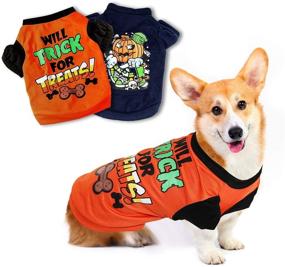 img 4 attached to 🎃 YUEPET 2 Pack Halloween Dog Shirts: Trendy Pet Costumes for Small Dogs and Cats - Cute Dog Clothing for Halloween Cosplay!