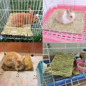 img 3 attached to Hamiledyi Rabbit Bunny Grass Mat: Natural Straw Woven Bedding Nest for Small Animals and Birds - 3 Pack