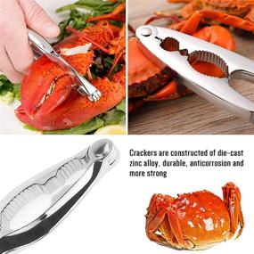 img 2 attached to 🦀 9-Piece Stainless Steel Seafood Tools Set for Crabs, Lobsters - Crackers, Forks, Openers, Shellfish, Leg Shellers, Nut Crackers