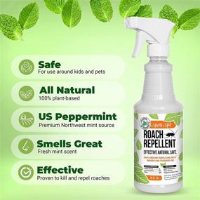img 3 attached to 🌿 16oz All-Natural Peppermint Oil Spray: Powerful Cockroach Repellent - Mighty Mint