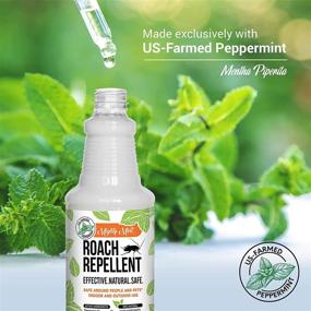 img 1 attached to 🌿 16oz All-Natural Peppermint Oil Spray: Powerful Cockroach Repellent - Mighty Mint