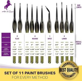 img 3 attached to 🖌️ Artist Quality Detail Paint Brushes Set of 11 - Versatile Liners, Rounds, Flats for Delicate Painting with Watercolors, Acrylics or Oils - Comfortable Ergonomic Handle - Gold