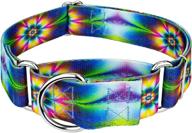 enhance your dog's style with country brook petz groovy collection martingale dog collar logo