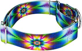 img 2 attached to Enhance Your Dog's Style with Country Brook Petz Groovy Collection Martingale Dog Collar