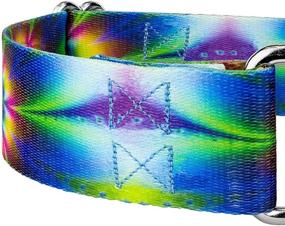 img 1 attached to Enhance Your Dog's Style with Country Brook Petz Groovy Collection Martingale Dog Collar