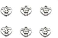 🐾 30pcs silver tone heart shape pet paw print best friend paw in heart double-sided pendant for diy bracelet necklace diy jewelry making findings: seo-friendly edition logo