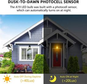 img 3 attached to 💡 Equivalent Filament Lighting with Ganiude Photocell