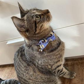 img 2 attached to 🐱 SOGAYU 2 Pack Halloween Cat Collar Breakaway with Cute Bow Tie Bell - Kitten Collar Bowtie Safety Removable Adjustable for Kitty Puppy: Find the Perfect Halloween Collar for Your Feline Friend!