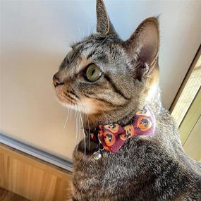 img 1 attached to 🐱 SOGAYU 2 Pack Halloween Cat Collar Breakaway with Cute Bow Tie Bell - Kitten Collar Bowtie Safety Removable Adjustable for Kitty Puppy: Find the Perfect Halloween Collar for Your Feline Friend!