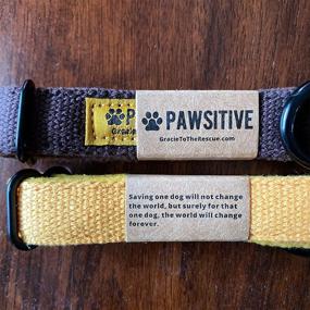 img 2 attached to 🐶 Pawsitive Hemp Dog Collar - Ultra-Soft Hypoallergenic Lining. Ideal for Small, Medium, and Large Dogs; Gray, Large Size