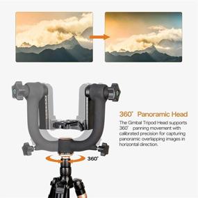 img 2 attached to Koolehaoda Professional Heavy-Duty Metal Gimbal Tripod Head - Arca Swiss Quick Release Plate, Bubble Level - Supports Digital SLR Cameras up to 26lbs/12kg