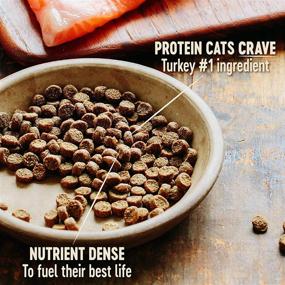 img 2 attached to Wellness CORE Grain Free Dry Cat Food: Turbocharge Your Cat's Health with High Protein Turkey and Duck Recipe, Made in USA, Natural, Adult, Packed with Vitamins and Minerals for Healthy Skin and Coat - Fish Free and Filler Free!