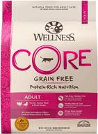 wellness core grain free dry cat food: turbocharge your cat's health with high protein turkey and duck recipe, made in usa, natural, adult, packed with vitamins and minerals for healthy skin and coat - fish free and filler free! logo