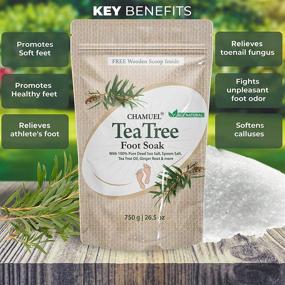 img 2 attached to 👣 Chamuel Tea Tree Oil Foot Soak - естественный мертвоморской и эпсомская соль - успокаивающее средство от грибка на ногах, неприятного запаха, мозолей и усталости ног (26.5 унций).