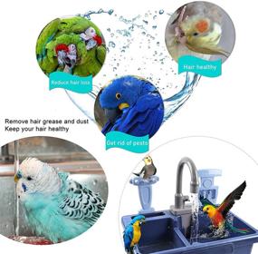img 1 attached to 🦜 Interactive Parrot Bathtub Pretend Play Kitchen Sink Toy: SGQCAR Pet Parrots Electric Dishwasher & Bird Bathing Box for Endless Fun!