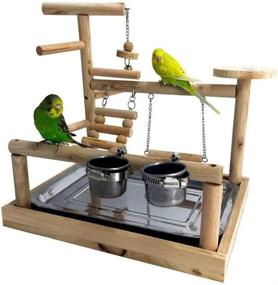 img 4 attached to MRli Bird Play Stand - Parrot Playstand with Cockatiel Playground Perch, Wood Gym, Ladder, Feeder Cups, Toys, and Exercise Playpen