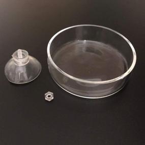 img 2 attached to 60mm Glass Shrimp Feeding Dish: Ailinda Aquarium Reptile Food Bowl, Round Clear Tray with Suction – Ideal Water Dish Feeder for Enhancing Nourishment