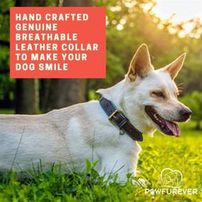 img 2 attached to 🐾 PawFurEver Soft & Breathable Leather Dog Collar - Padded, Elegant Design, Heavy Duty - Ensures Comfort for Small, Medium, Large, and X-Large Breeds