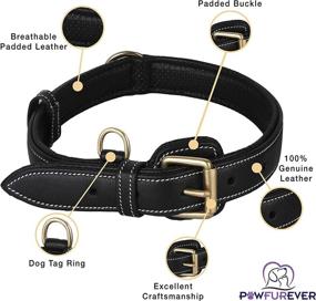 img 3 attached to 🐾 PawFurEver Soft & Breathable Leather Dog Collar - Padded, Elegant Design, Heavy Duty - Ensures Comfort for Small, Medium, Large, and X-Large Breeds