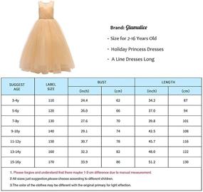 img 3 attached to 👸 Glamulice Sparkling Princess Bridesmaid Ballgown Girls' Dress in Clothing