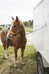 img 1 attached to Intrepid International Trailer Horse Hauling