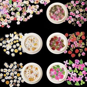 img 2 attached to 🌺 Vibrant 9 Boxes 3D Flower Nail Art Sequins: Colorful Mixed Flowers & Leaves Stickers for DIY Crafting and Nail/Face/Body Decoration