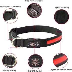 img 2 attached to 🐶 Stay Visible and Safe with LED Dog Collars - Waterproof USB Rechargeable Flashing Collars for Dogs