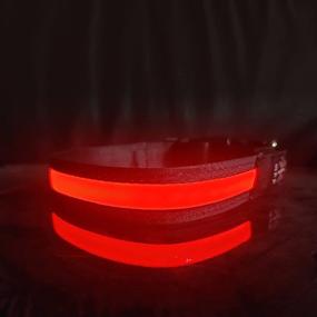 img 3 attached to 🐶 Stay Visible and Safe with LED Dog Collars - Waterproof USB Rechargeable Flashing Collars for Dogs