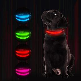 img 4 attached to 🐶 Stay Visible and Safe with LED Dog Collars - Waterproof USB Rechargeable Flashing Collars for Dogs