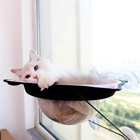 img 4 attached to 🐱 Ovida Cat Hammock Window Perch Capsule Bed - Secure Kitten Pet Space Saver with Suction Cups, Holds Up to 22 Lbs