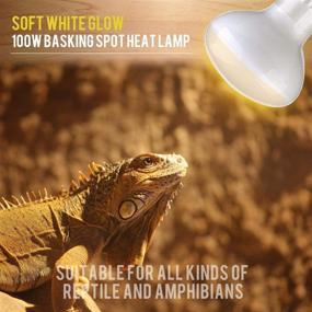 img 2 attached to Premium 100W Sun Glow Basking Spot Lamp UVA Glass Heat Bulb Soft White Light - 2 Pack for Reptile & Amphibian Terrariums